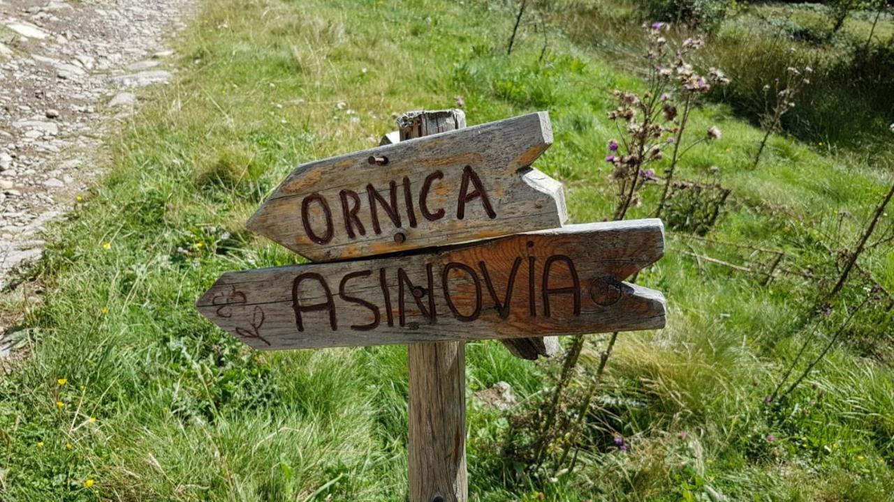 OrnicaCasa Del Cirillo公寓 外观 照片